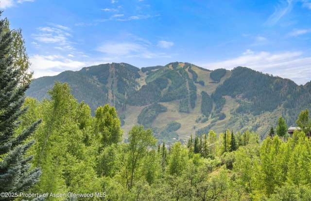 927 Red Mountain Road Gallery 2