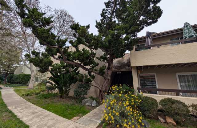 3 bed / 2 bah Condo. Hardwood floor, forced heat, lots of HOA amenities photos photos