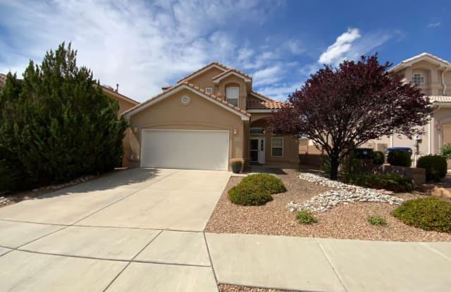 7131 Wild Olive Ave NE - 7131 Wild Olive Avenue Northeast, Albuquerque, NM 87113