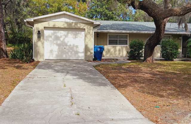 7419 Mead Dr - 7419 Mead Drive, Spring Hill, FL 34611