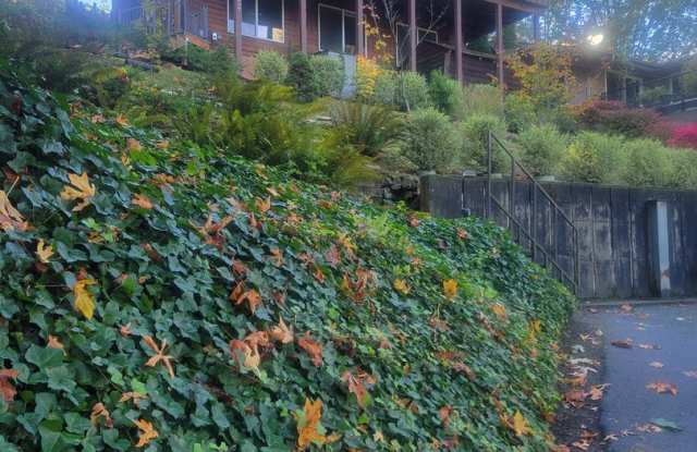 Cozy House on the Hill - 13723 Macadam Road South, Tukwila, WA 98168