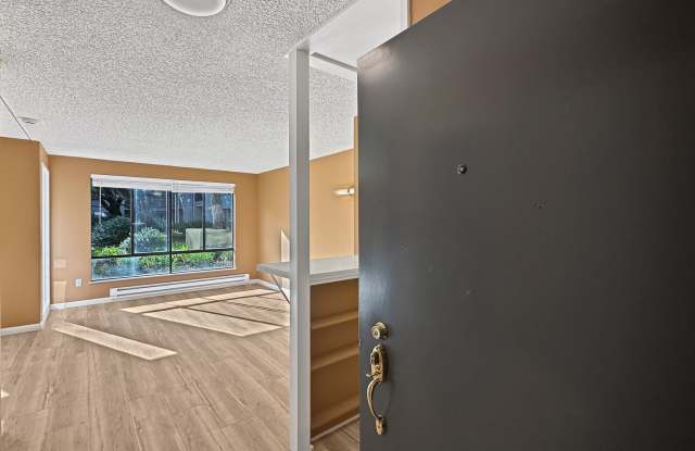 Brand New Studio with your Own Patio and Morning Sunlight! photos photos Brand New Studio with your Own Patio and Morning Sunlight! photos photos