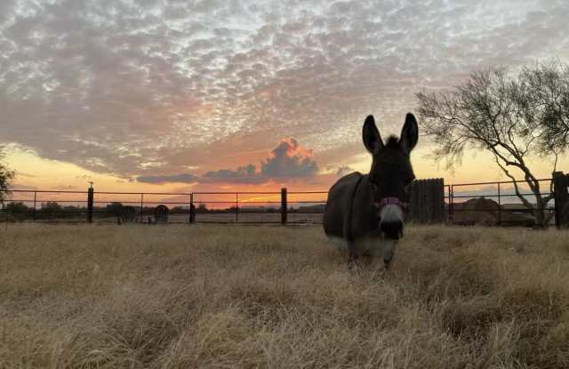 5824 E Montgomery Road photos photos 5824 E Montgomery Road photos photos