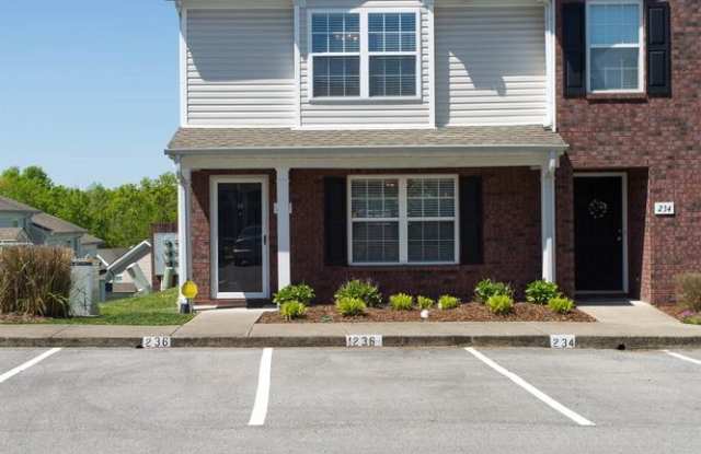 236 Buck Run Drive Gallery 4