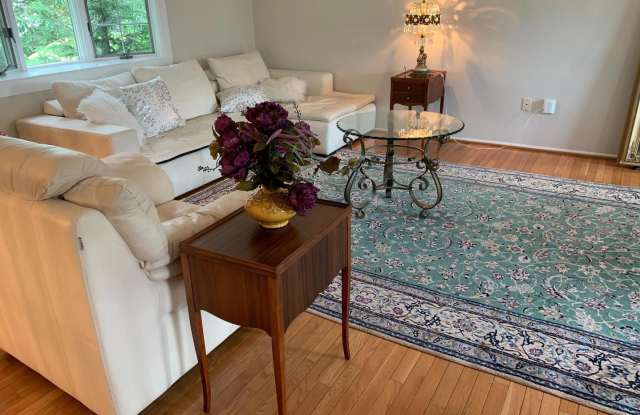10631 RUNAWAY LANE - 10631 Runaway Lane, Great Falls, VA 22066