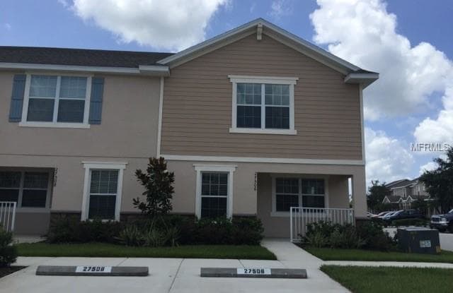 27506 DESERT WILLOW WAY - 27506 Desert Willow Way, Wesley Chapel, FL 33544