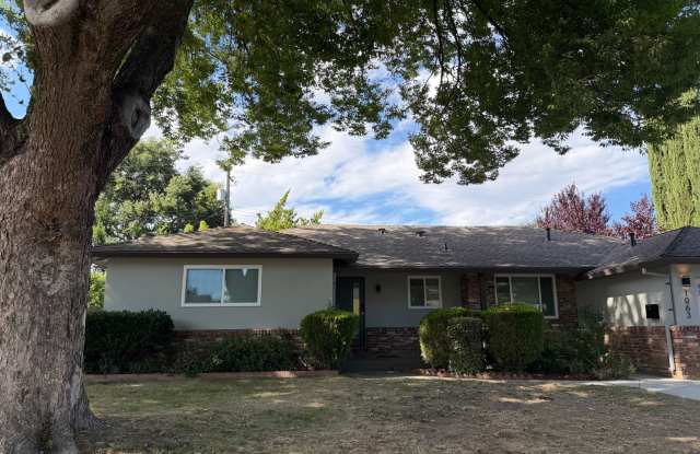 Fully Remodeled 3 Bedroom/ 2 Bathroom Duplex w/ Modern Finishes & Private Yard! photos photos