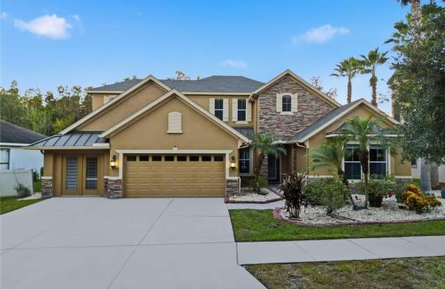 19238 CLIMBING ASTER DRIVE photos photos