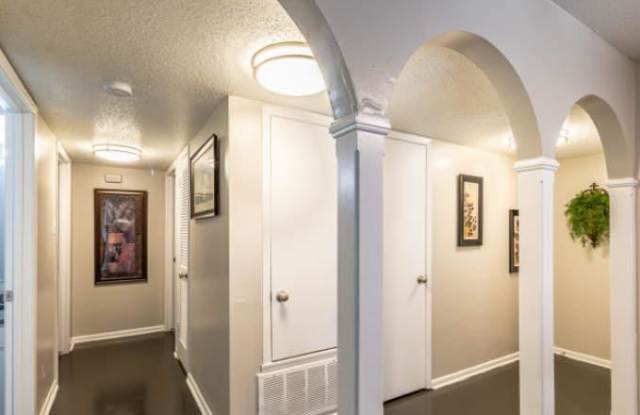 7226 Blanco Rd, #2294 photos photos