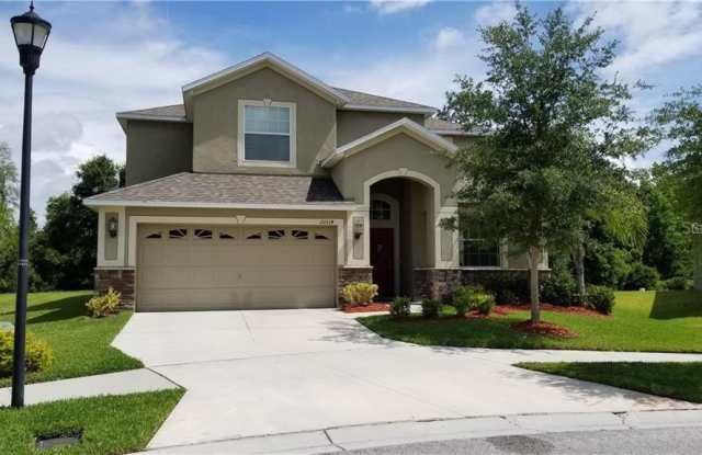 20514 CAROLINA CHERRY Court Gallery 1