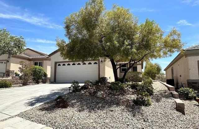 2603 Solera Moon Drive photos photos