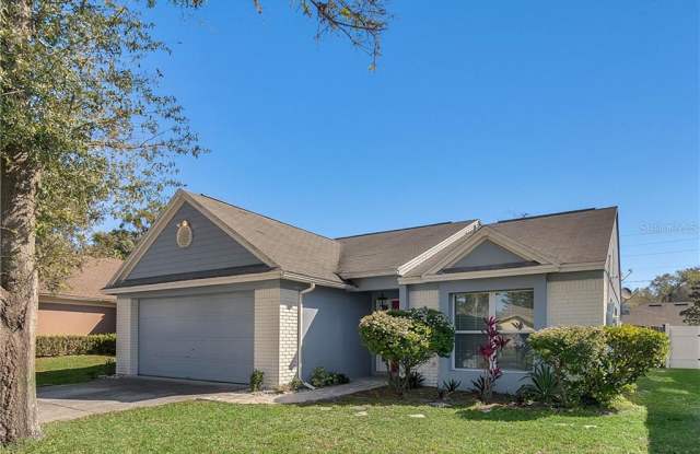319 MANTIS LOOP - 319 Mantis Loop, Apopka, FL 32703