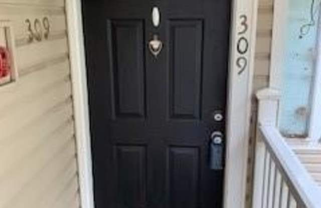 309 Augusta Drive SE photos photos