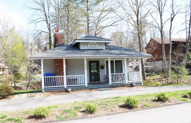 Downtown Brevard - 248 Hilt Street, Brevard, NC 28712