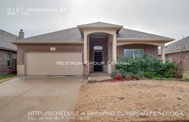 3121 Hornbeam St - 3121 Hornbeam Street, Denton, TX 76226