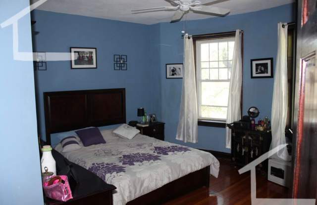 Large 3.5 bed in Coolidge corner photos photos