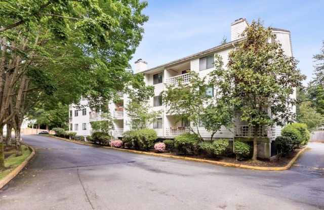 Lovely 1bd Condo Available in Shoreline w/ Private Patio! photos photos