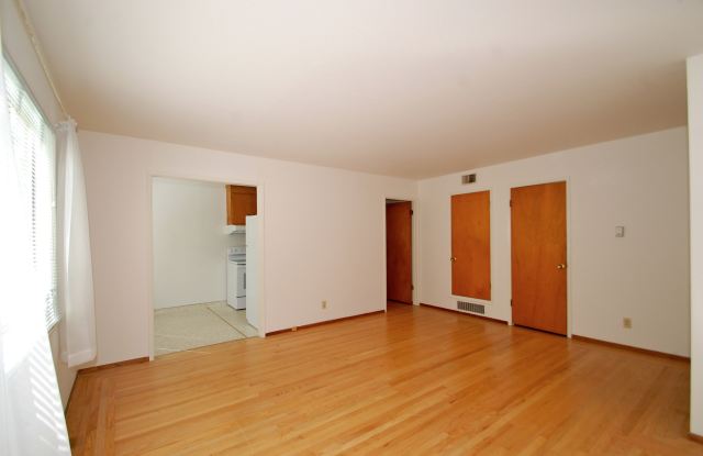 2910F photos photos