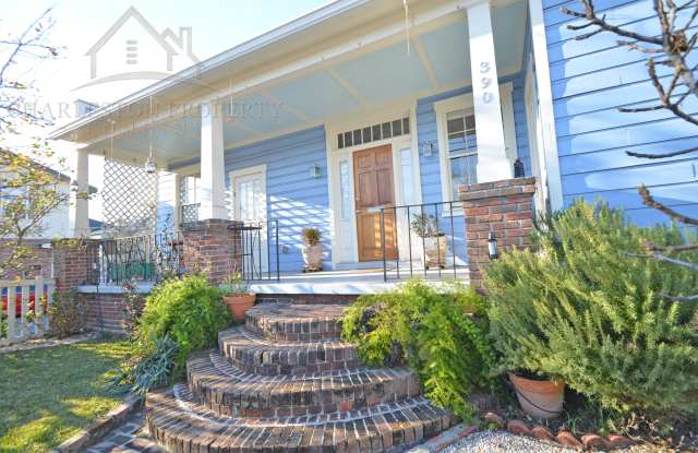 390 Huger St - 390 Huger Street, Charleston, SC 29403