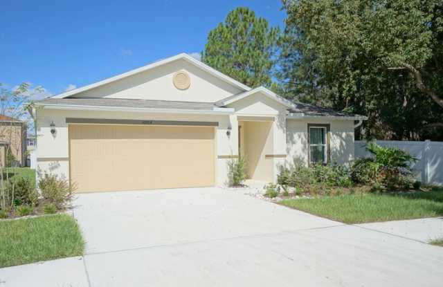 10704 Massimo Drive - 10704 Massimo Drive, Balm, FL 33598