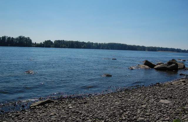 COLUMBIA RIVER Waterfront Home with Access on 1.5 Acres Gallery 4