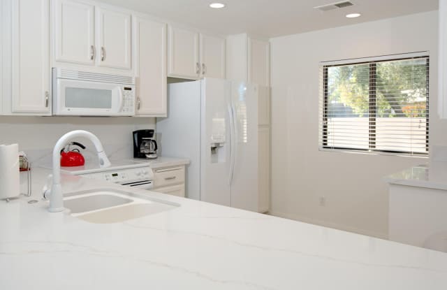 29168 Desert Princess Drive Gallery 4