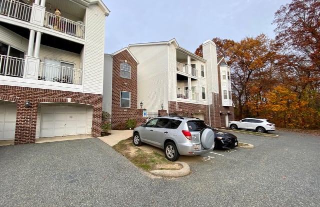 1303 SANDWORT COURT - 1303 Sandwort Court, Riverside, MD 21017