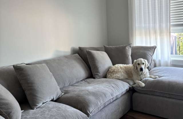 555 Roger Williams photos photos 555 Roger Williams photos photos