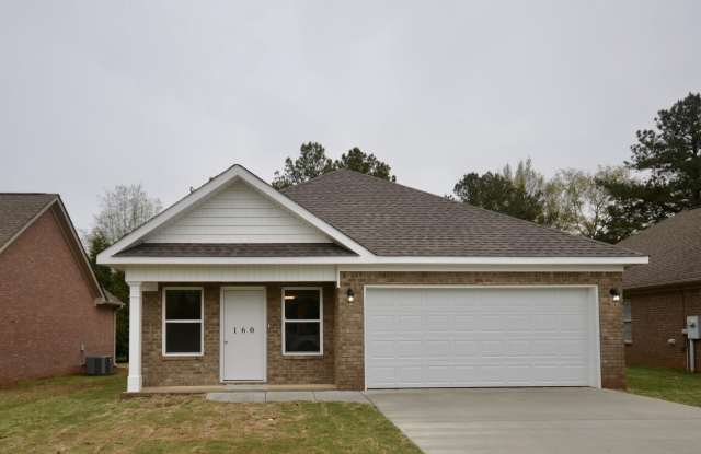 160 Swansea Lane photos photos
