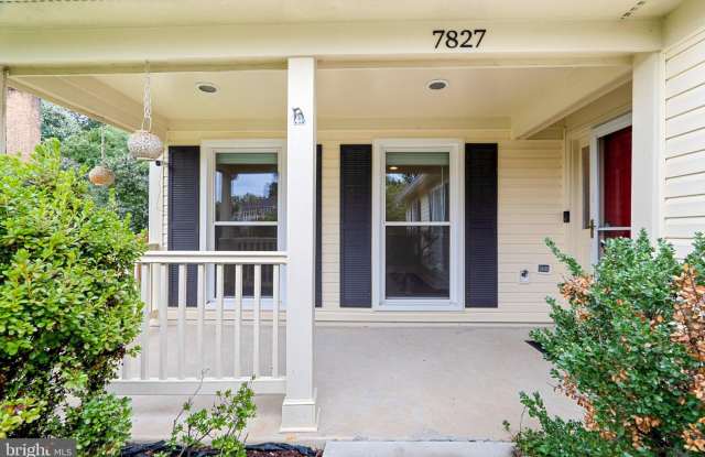 7827 BOLD LION Lane Gallery 3