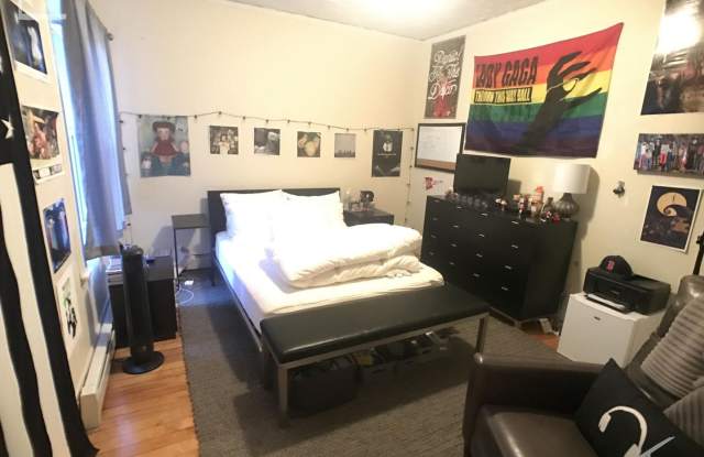 Huge 4 bed unit near the Green Line. Gallery 4