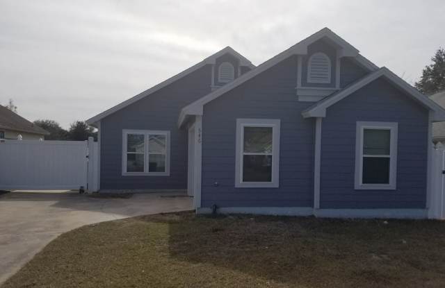 546 Conure St - 546 Conure Street, Apopka, FL 32712