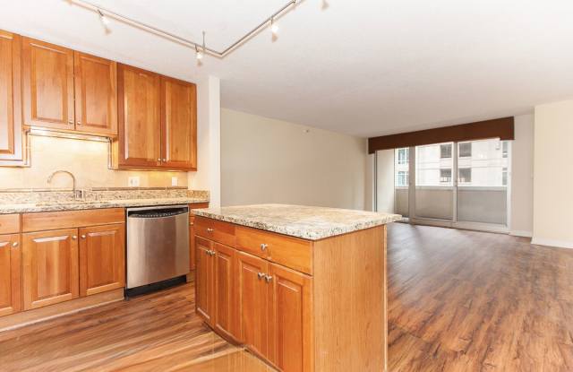 545 North Dearborn Street - 545 North Dearborn Street, Chicago, IL 60654