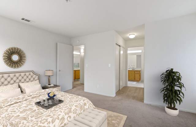 Lakeshore Apartments Gallery 3