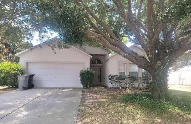 Beautiful 4/2 with 2 Car Garage in the Wekiva Area of Apopka! - 1103 Welch Hill Circle, Apopka, FL 32712