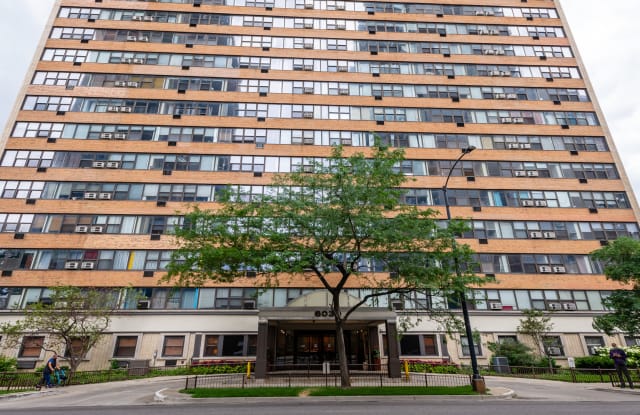 6030 N Sheridan #1905 - 6030 North Sheridan Road, Chicago, IL 60660