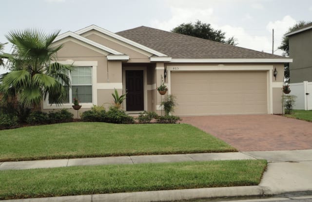 465 Millwood Place - 465 Millwood Place, Winter Garden, FL 34787