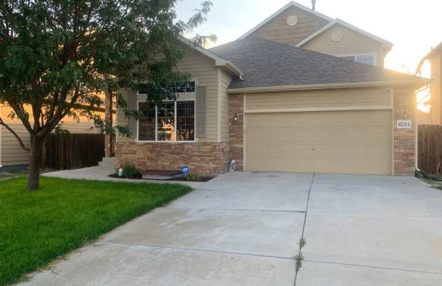 Gorgeous 7 Bed/3.5 Bath Home for Rent in Colorado Springs! photos photos