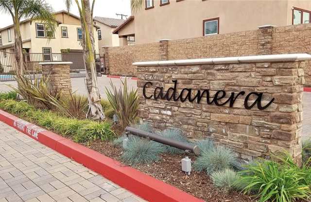 1529 Borden Lane Gallery 2