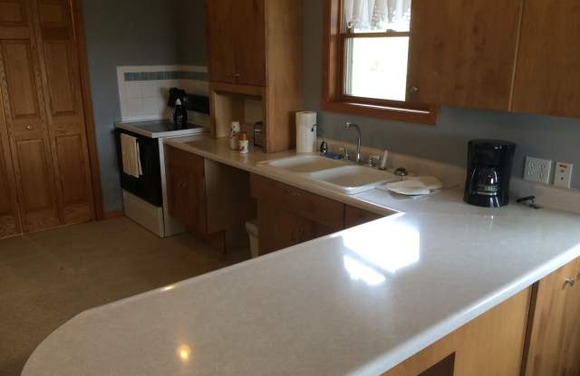 NZC (1017 S. Clark St. House East) photos photos