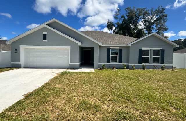 BRAND-NEW HOME FOR RENT! Gallery 1