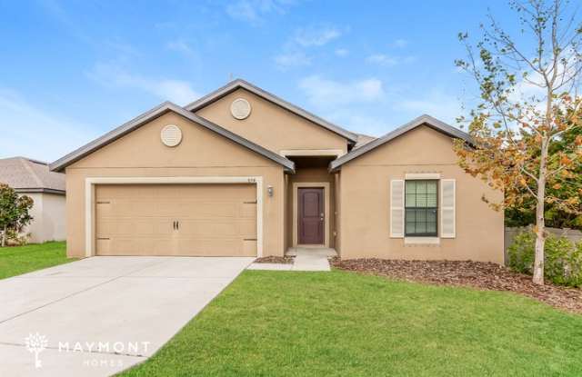 844 Chatham Walk Drive - 844 Chatham Walk Drive, Ruskin, FL 33570