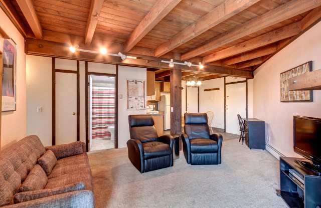 Price Reduced!! Silverthorne 2BR at Treehouse!  Year lease! Over $400 in Utilities included! Gallery 1