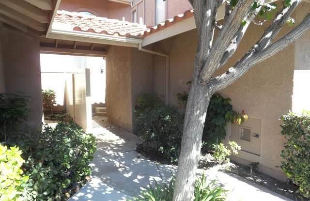 Freshly Painted 3 BR 3BA +Loft 2 Story Townhouse 2 Car Direct Access Garage photos photos