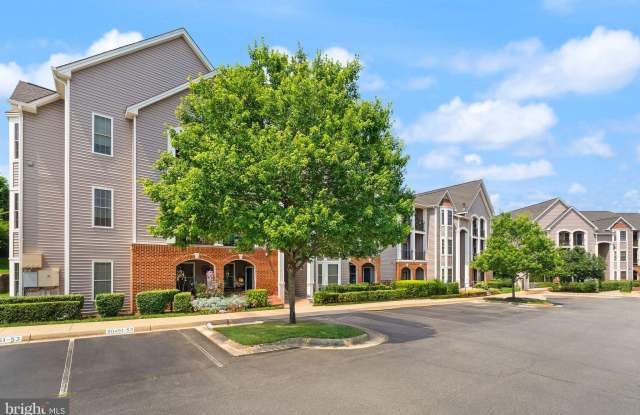 20453 CHESAPEAKE Square Gallery 3