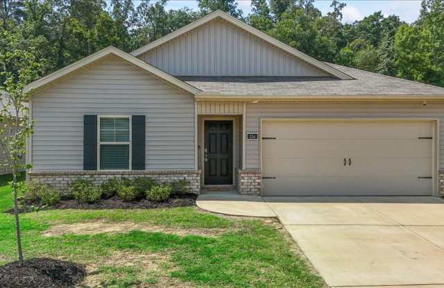 Newly built 4 bedroom in Cullman City School District Gallery 1