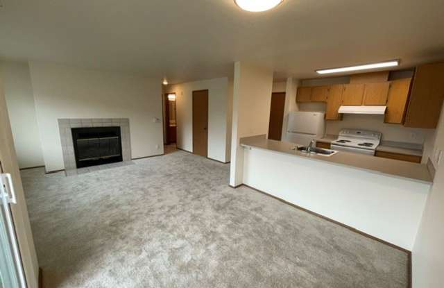 (1K) Kristine Apartments Gallery 3