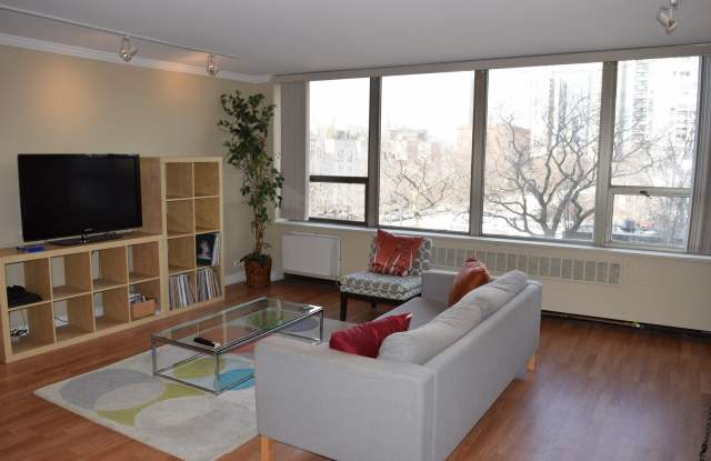 1360 N Sandburg Terrace Gallery 4