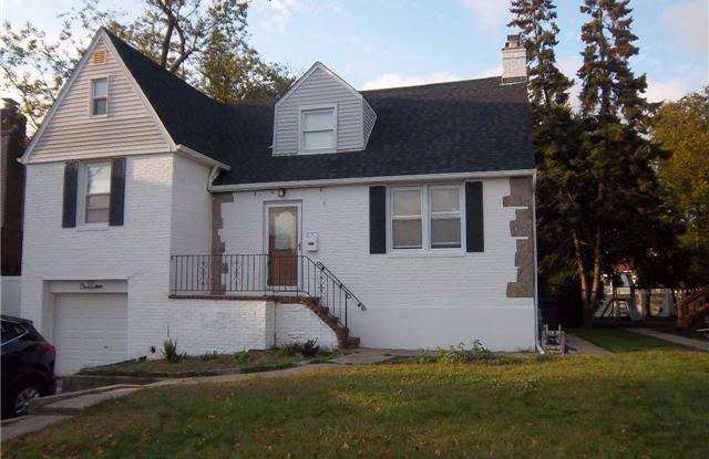 19 Acorn photos photos