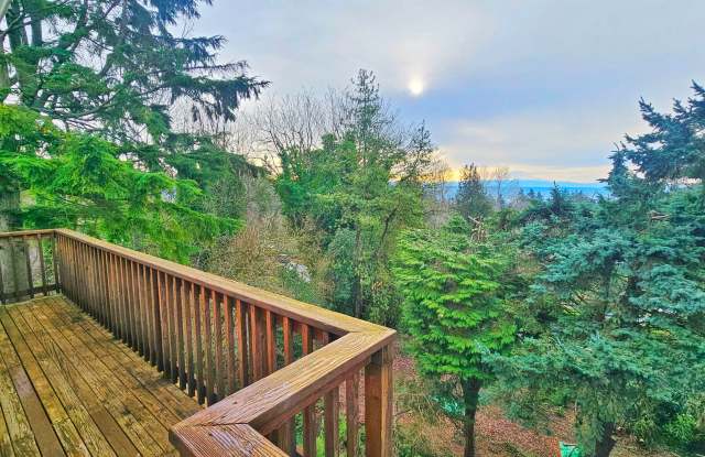 Charming 3 Bed 2.25 Bath Home in Skyway with a great view of Mt Rainier Gallery 4
